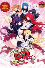 High School DXD 4