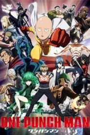 One Punch Man Phần 1