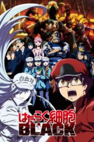 Hataraku Saibou Black (TV)