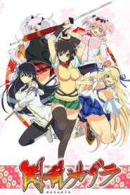 Senran Kagura (Phần 1)